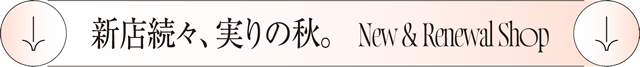 New & Renewal Shop