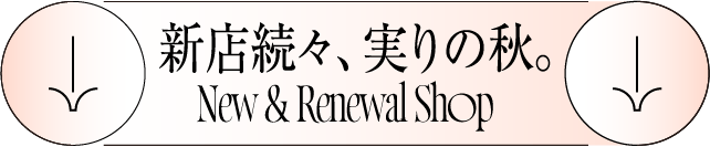 New & Renewal Shop