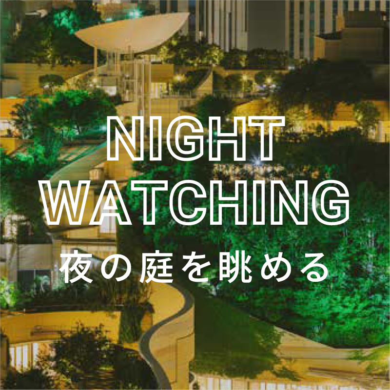 NIGHT