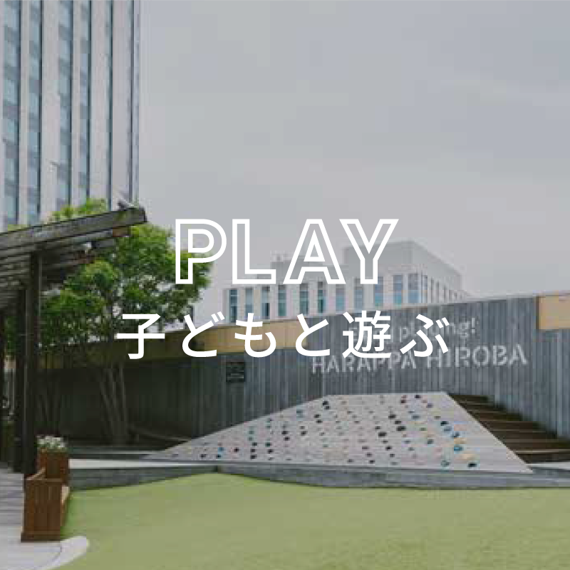 PLAY