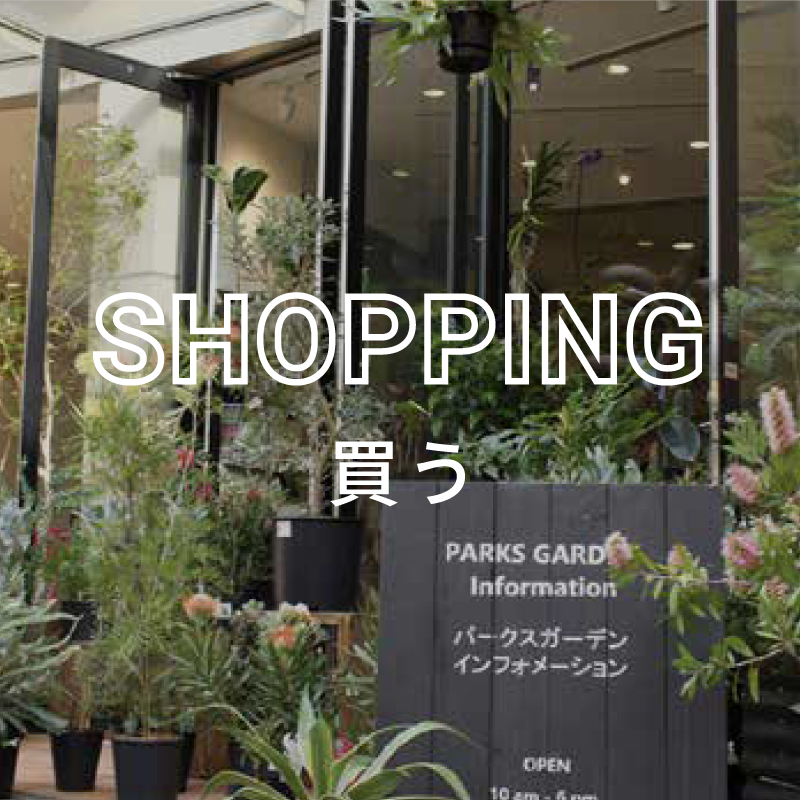 SHOPPING