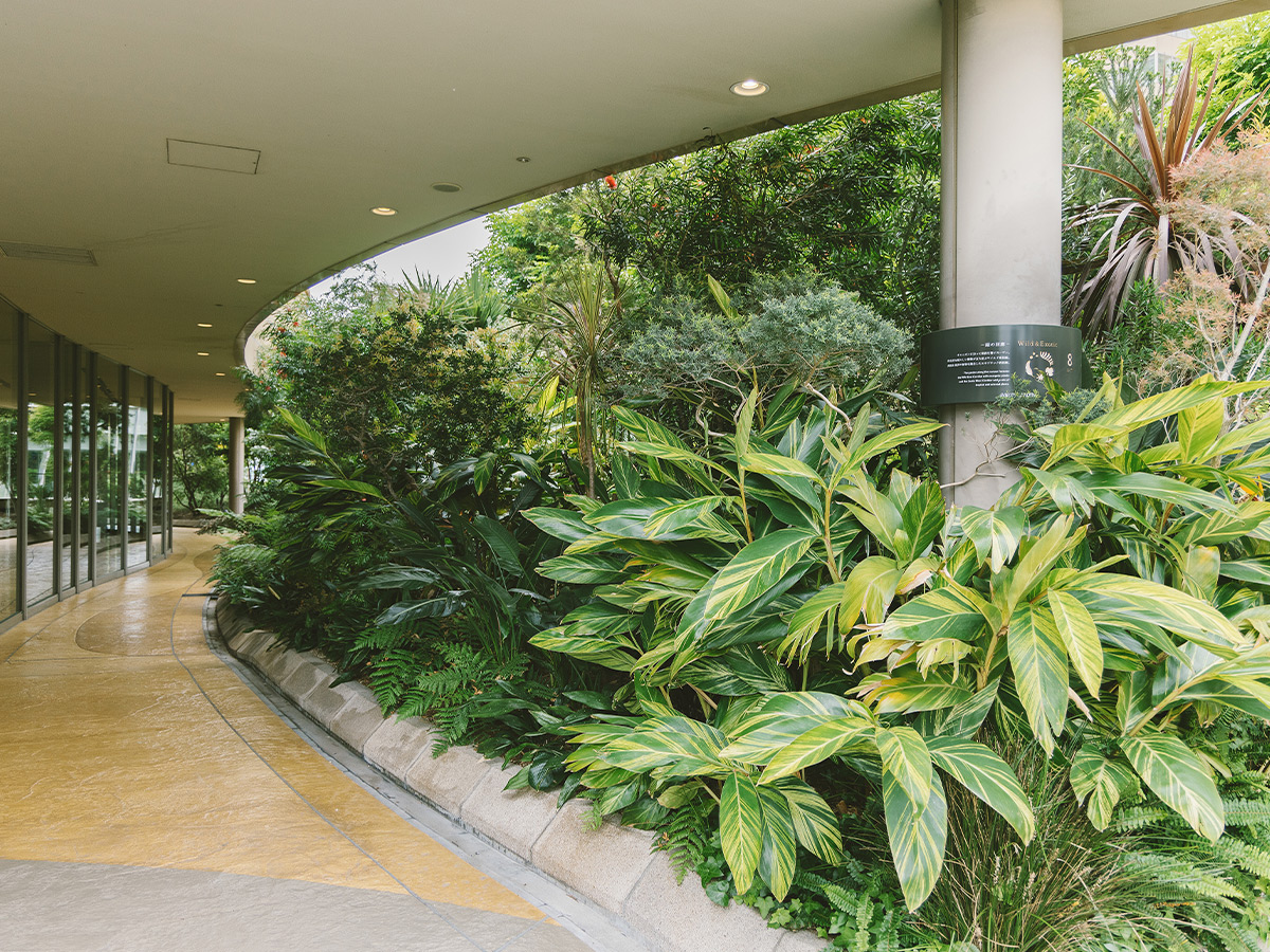 Parks Garden エリアマップ