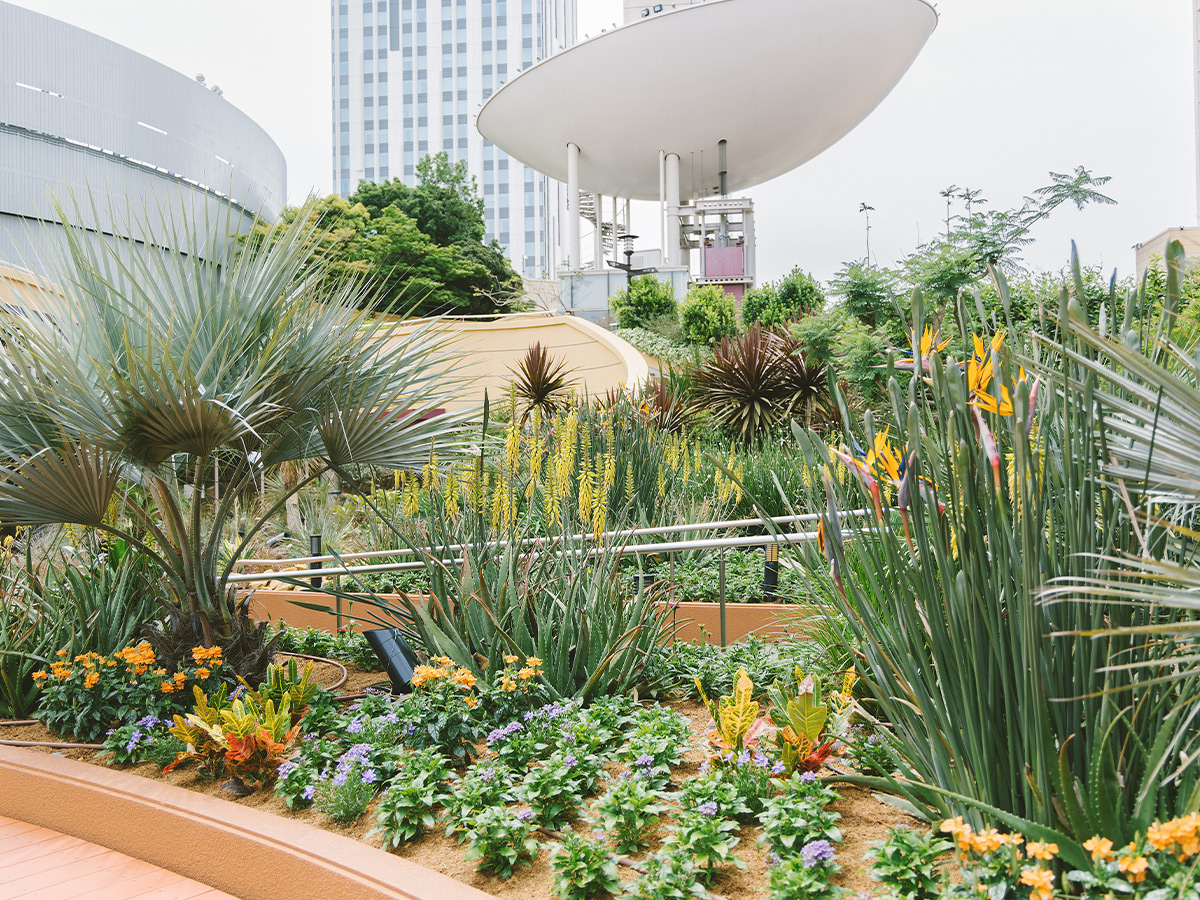 Parks Garden エリアマップ