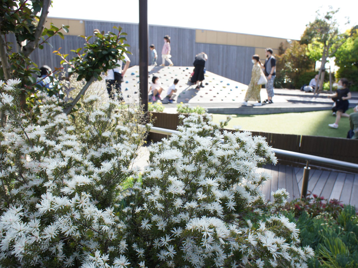 Parks Garden エリアマップ