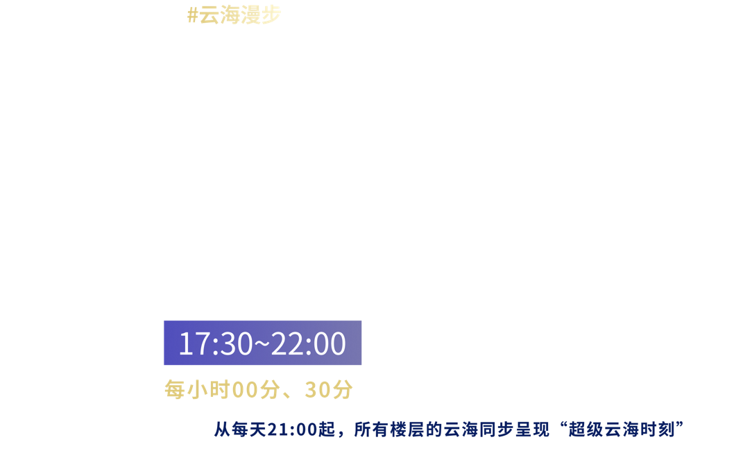 雲海発生時間と入場情報