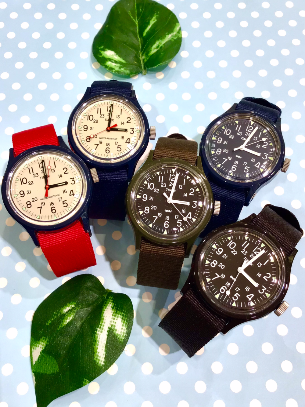 ☆TIMEX☆ 気軽に使いたいならキャンパー！ | チックタック | ショップ